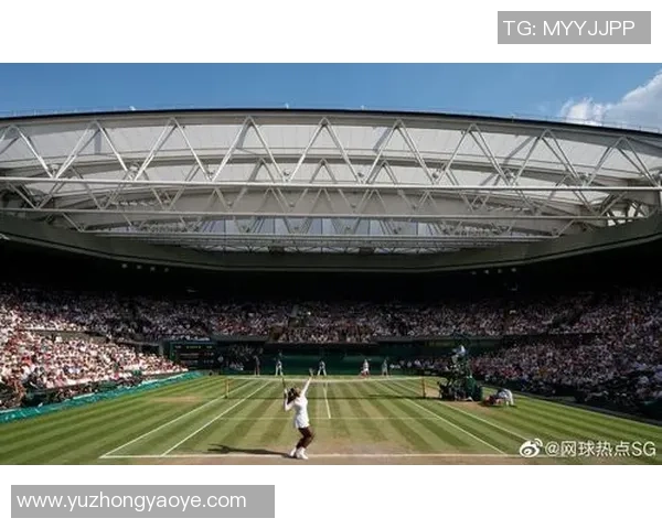 网球运动的魅力与发展趋势探索：技术、赛事与全球化的深度分析